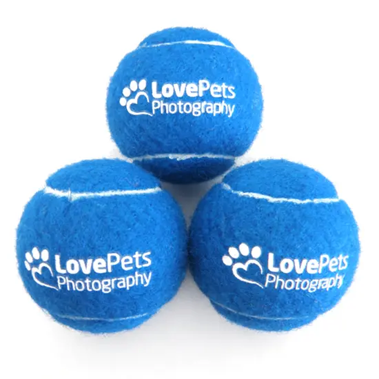 pet tennis ball_1