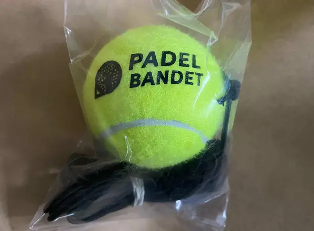 OEM tennis custom logo_3